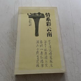 情系彩云南
