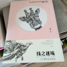 线之迷境：七天解锁线体插画