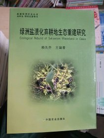 綠洲鹽漬化棄耕地生態(tài)重建研究賴先齊
