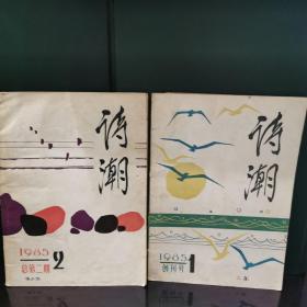 诗潮1985（全年共6册）