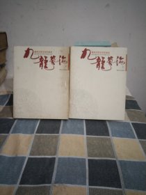 九龙艺海:隆回文学艺术作品选上下册16开