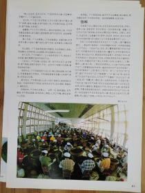 4张！茶与名茶广告