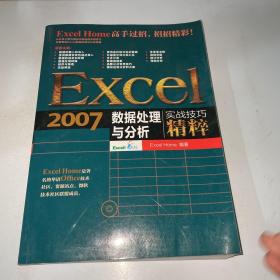 Excel 2007数据处理与分析实战技巧精粹