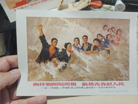 胸怀朝阳何所惧敢将青春献人民宣传画 江西余江县插队落户上海知识青年创作