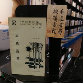 中国新诗库（第一辑）王独清卷