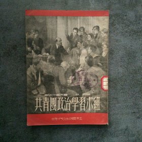 共青团政治学习小组