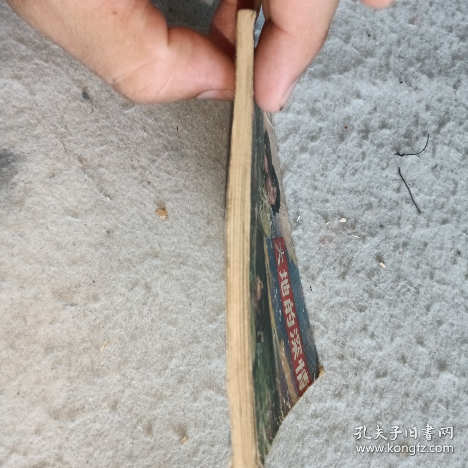 连环画—大地的深情