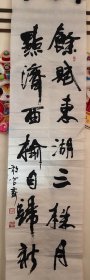 沈阳市书法家协会副主席 南朝明书法（133厘米x34厘米）