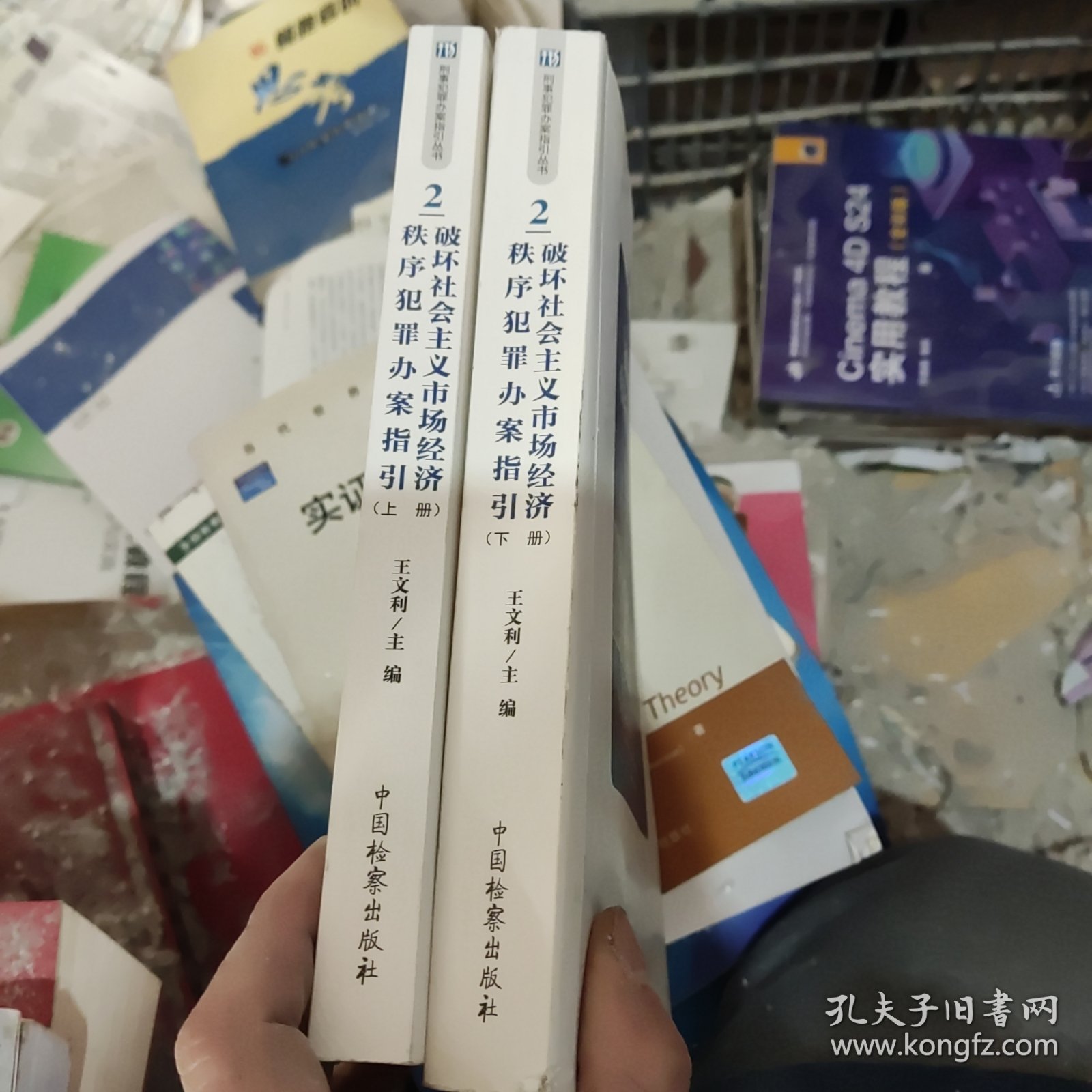 破坏社会主义市场经济秩序犯罪办案指引（上、下两册）