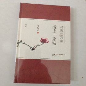 爱上一座城 林徽因文集