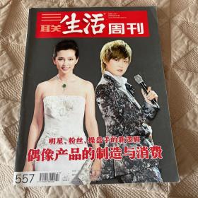 三联生活周刊（2009年第47期）偶像产品的制造与消费