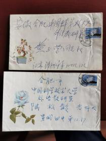 1982盆栽枸杞、蓝月季美术图案实寄封两个，江苏沙洲，安徽宣城发出