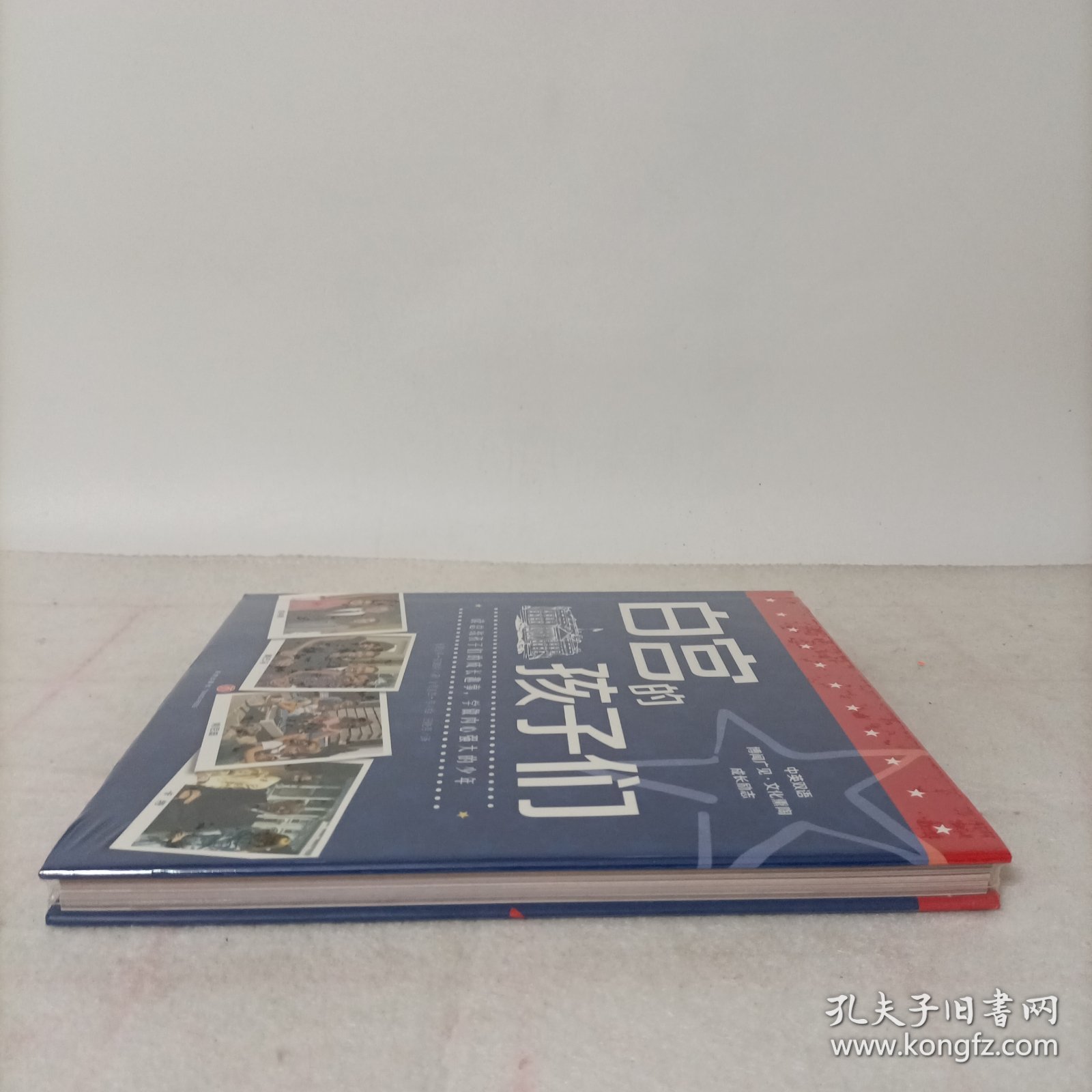 白宫的孩子们(精装)塑封新书