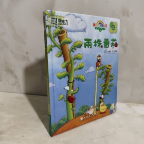 兩株番茄