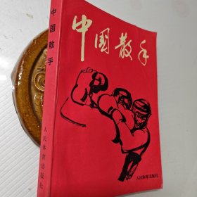 中国散手