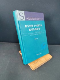 数字经济下中国产业转型升级研究(精)