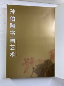 孙伯翔书画艺术（缺外书衣）内容完整（8开）天津人民美术2013年一版一印（正版如图、内页干净）