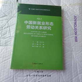 中国新就业形态劳动关系研究