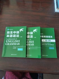 培生中级英语语法（上下册、练习册。3册合售）