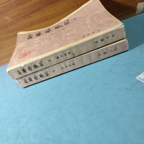 新华春梦记 上下全