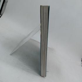 城市化时代的城市设计：营造人性场所。