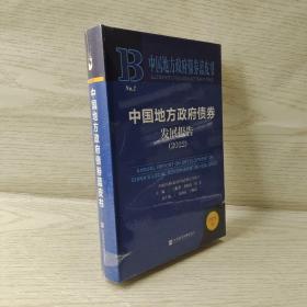 中国地方政府债券蓝皮书：中国地方政府债券发展报告（2022）