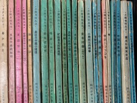 小图书馆丛书 22本合售 馆藏