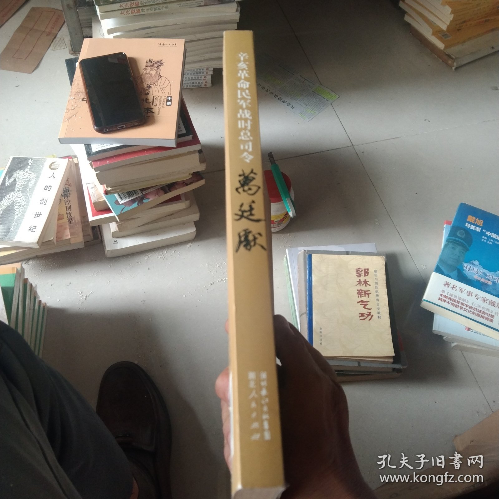 辛亥革命民军战时总司令万廷献