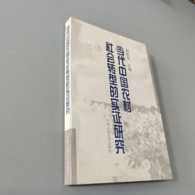 当代中国农村社会转型的实证研究