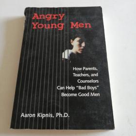 Angry Young Men: How Parents Teachers And Counselors