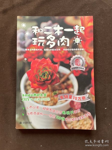 和二木一起玩多肉