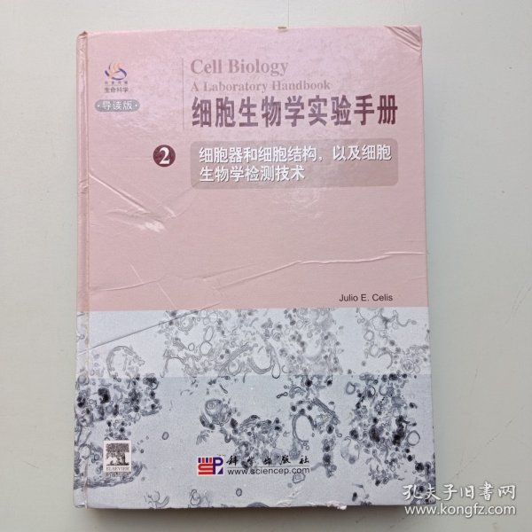 细胞生物学实验手册2：细胞器和细胞结构以及细胞生物学检测技术（导读版）