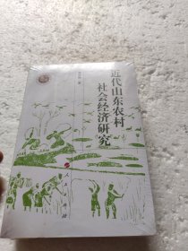 近代山东农村社会经济研究