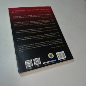 高手身影2：中国商业原生态实战案例