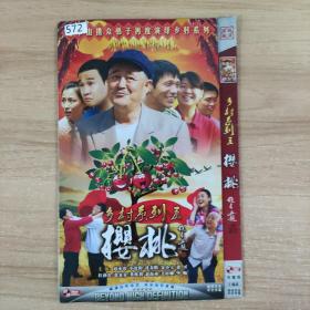 572影视光盘DVD:乡村系列     二张光盘 简装