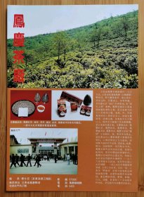 云南凤庆茶厂-凤庆红茶广告；昆明啤酒厂广告；单页双面广告画.宣传画.广告页.广告纸