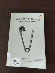 The Safety of Objects Stories