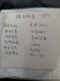 电脑游戏 碟海飘香