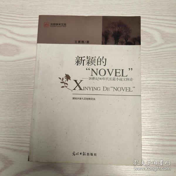 新颖的“NOVEL“：20世纪90年度长篇小说文体论