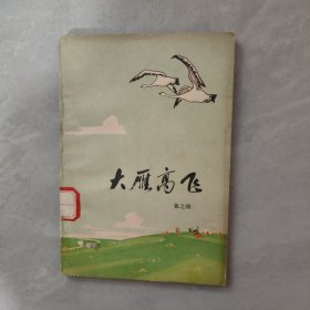 大雁高飞