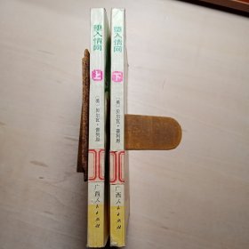 坠入情网 （上下）
