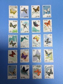 特56蝴蝶邮票一套。20枚全。新票上品。有个别票有轻微折痕。实图发货。