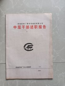 郯城纸板厂暨华伟造纸有限公司中层干部述职报告