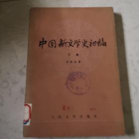 中国新文学史初稿。（下册）