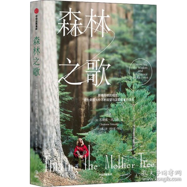 森林之歌