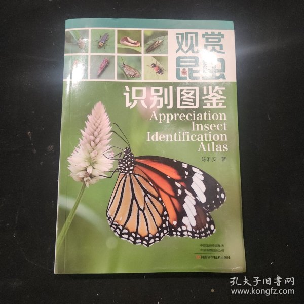 观赏昆虫识别图鉴