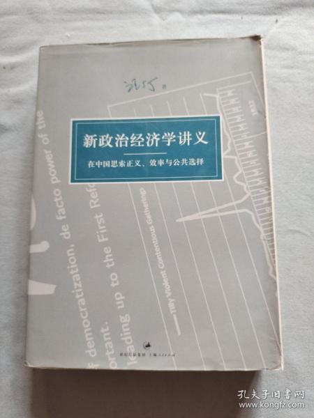 新政治经济学讲义：在中国思索正义、效率与公共选择