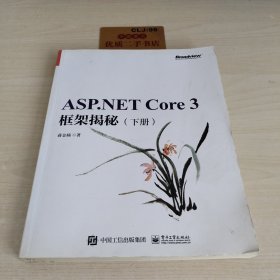 ASP.NET Core 3 框架揭秘（下册）