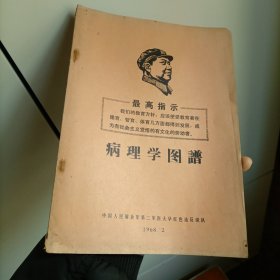 病理学图谱。