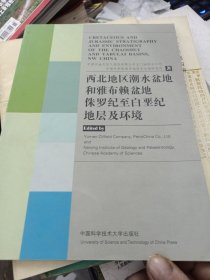 西北地区潮水盆地和雅布赖盆地侏罗纪至白垩纪地层及环境